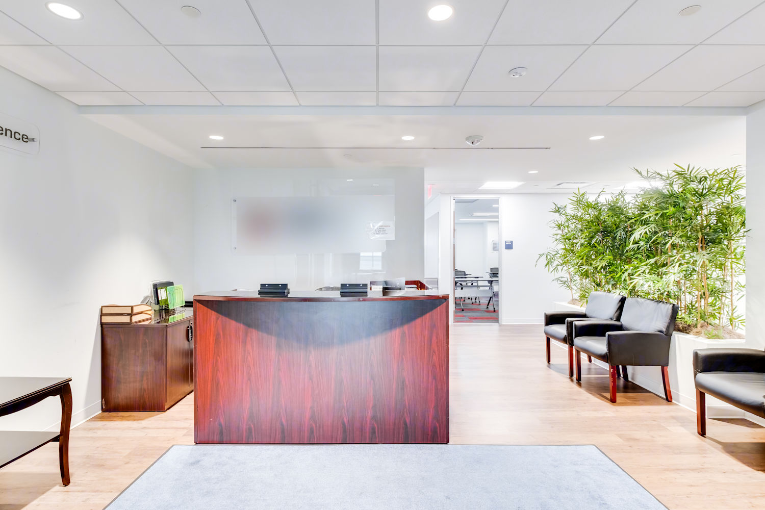 Reception, Partial 8th Floor, Suite 850, Willow Oaks Corporate Center, 8260 Willow Oaks Corporate Drive