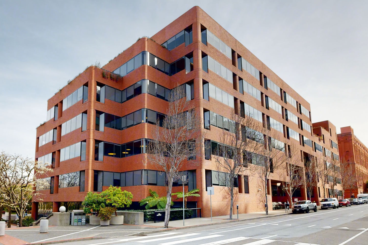 Levi strauss outlet head office