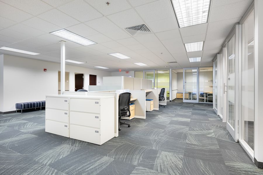 Main Area 1