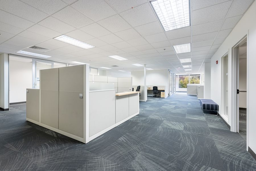 Main Area 1
