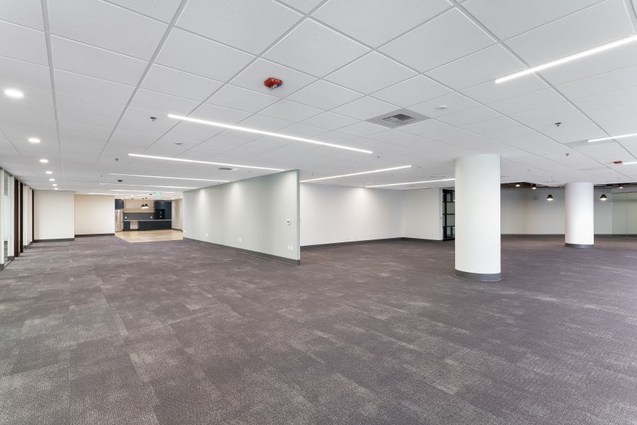 Main Area 1