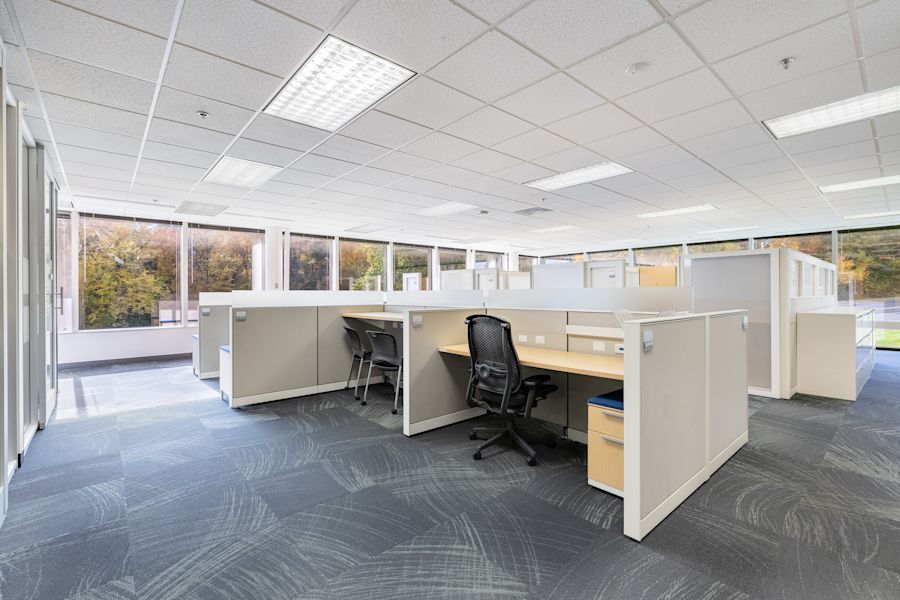 Main Area 1