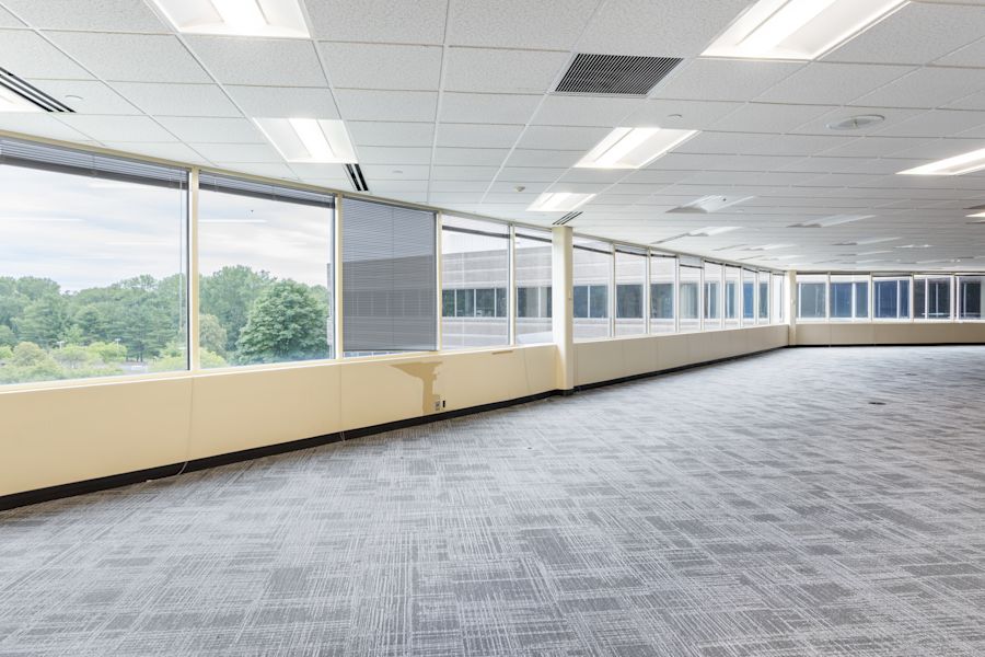Main Area 1