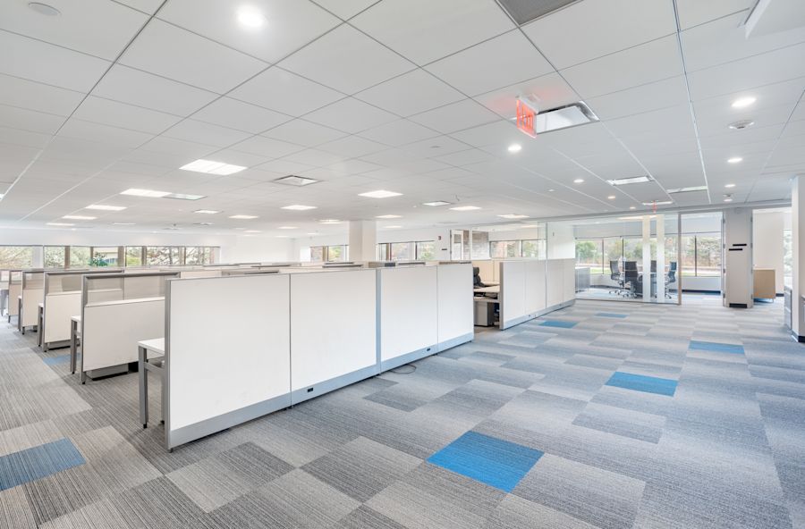 Main Area 1