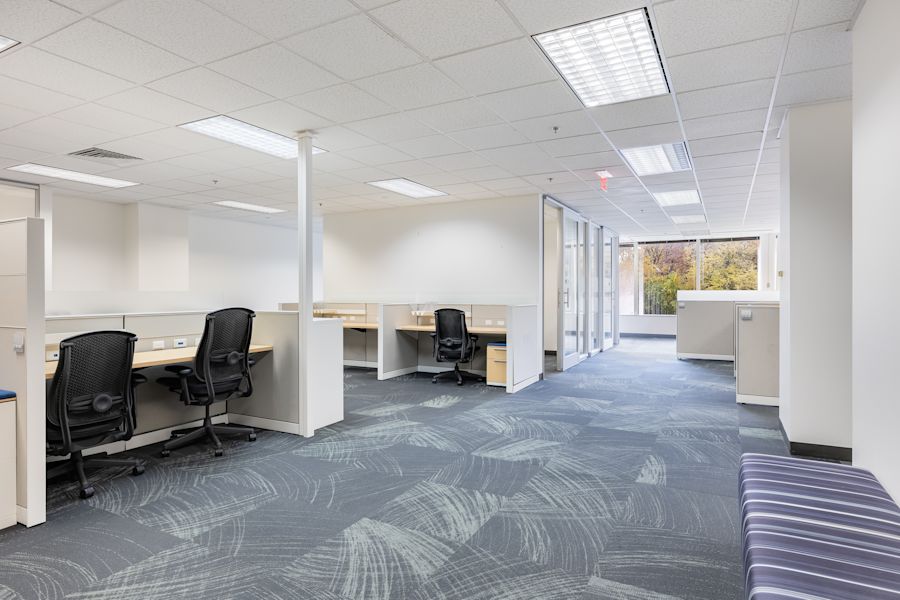 Main Area 1