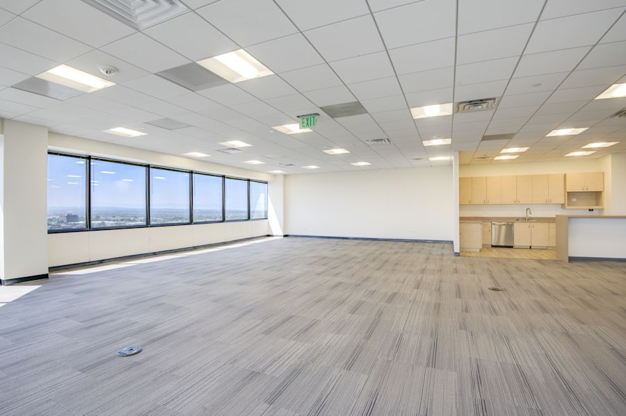 Main Area - Partial 11th Floor, Suite 1110 - Terrace Tower - 5619 DTC Parkway