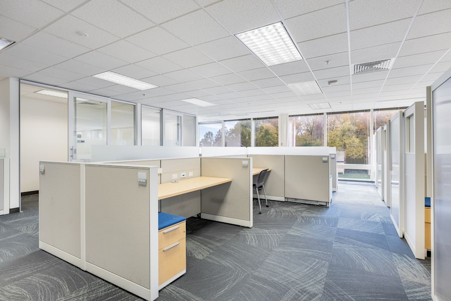 Main Area 1
