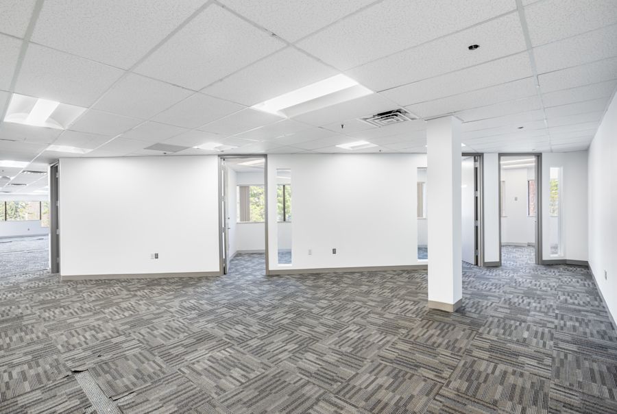 Main Area 1