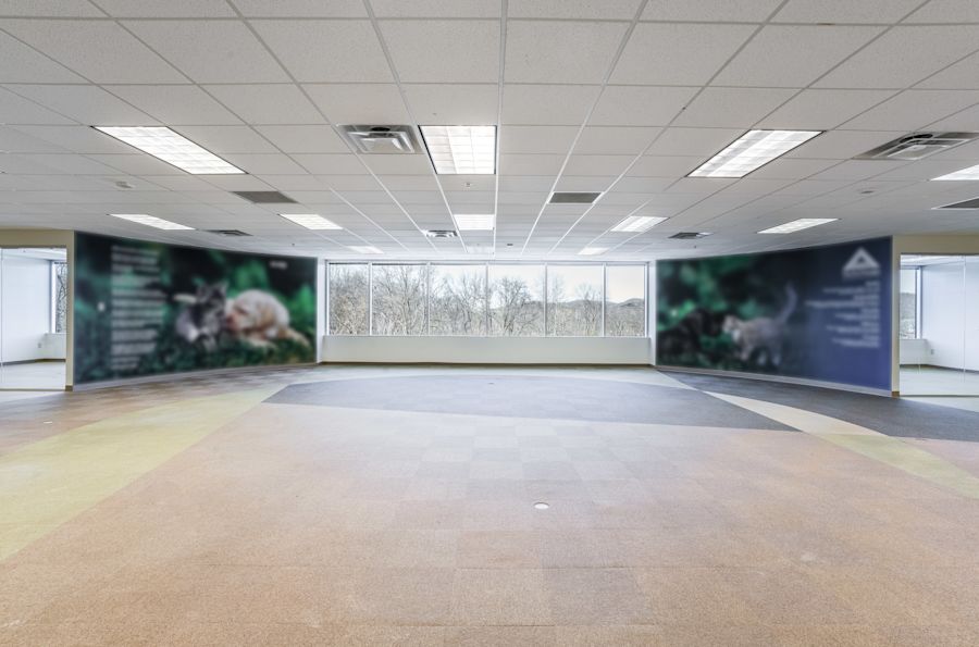 Main Area 1