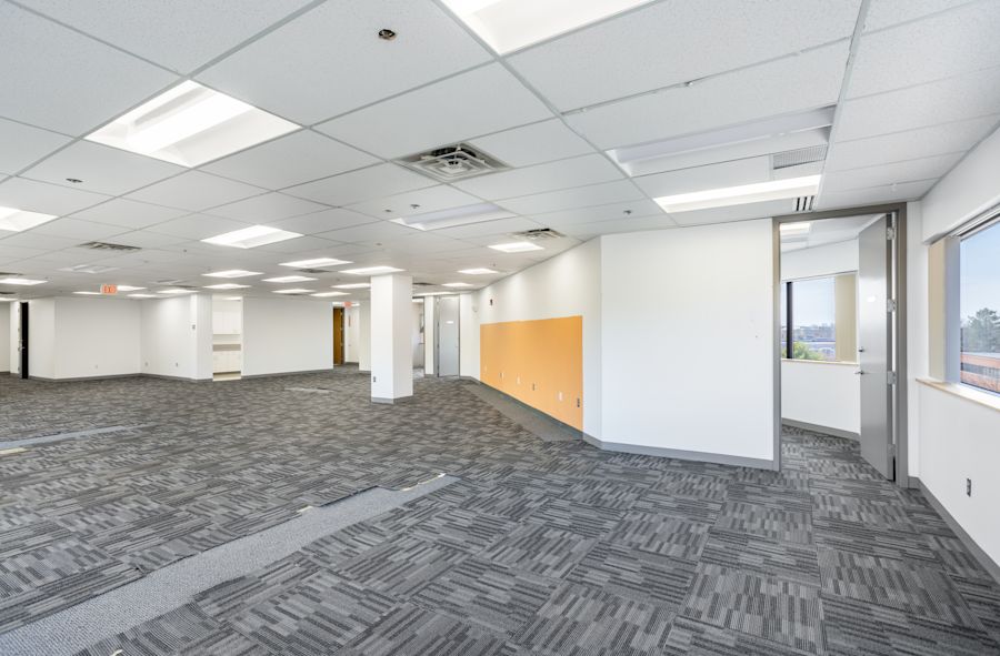 Main Area 1