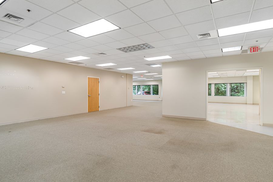 Main area 1