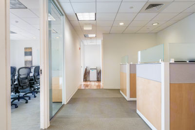 Main Area 1, Partial 11th Floor, Suite 1102, 855 Boylston Street